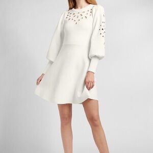 EXPRESS Eyelet Cutout Design Fit And Flare Sweater Dress Small